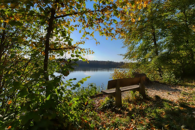 这不仅有助 这不仅有助