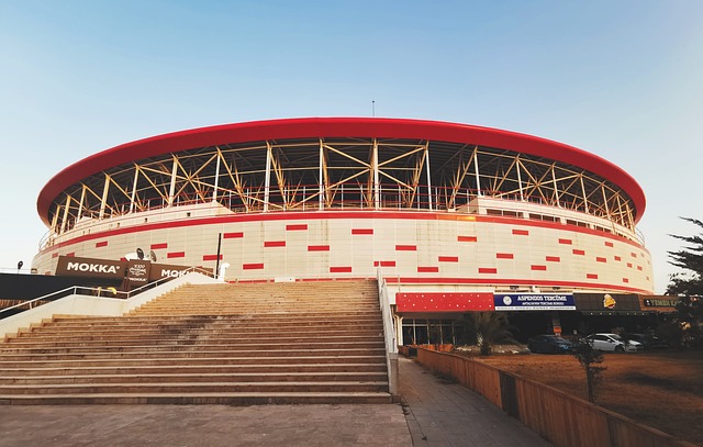 与队伍一同 与队伍一同