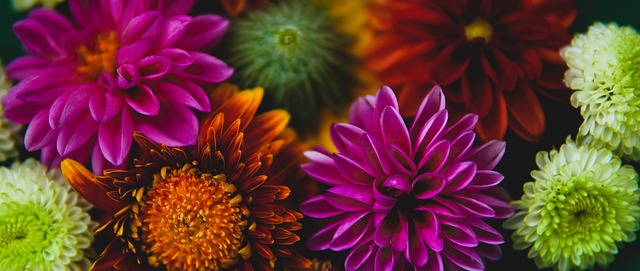 亚冬会上为 亚冬会上为