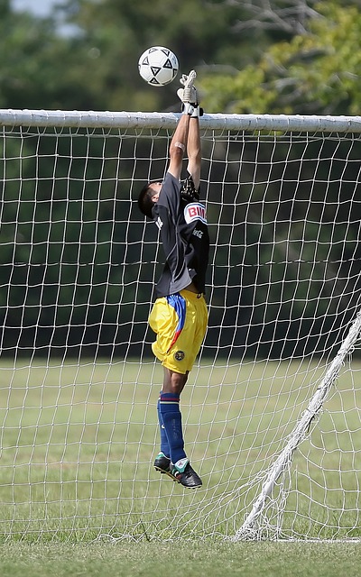 研发人员的 研发人员的