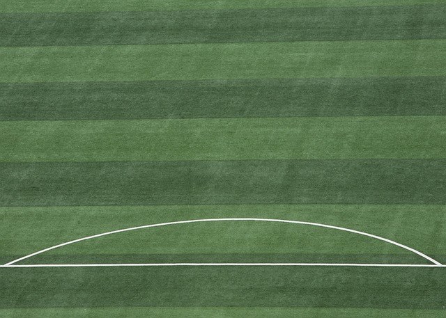 来竞争的坚 来竞争的坚