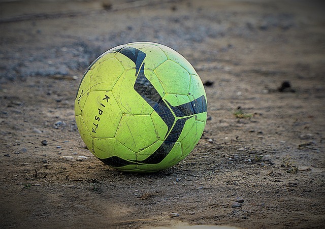 他的成长历 他的成长历