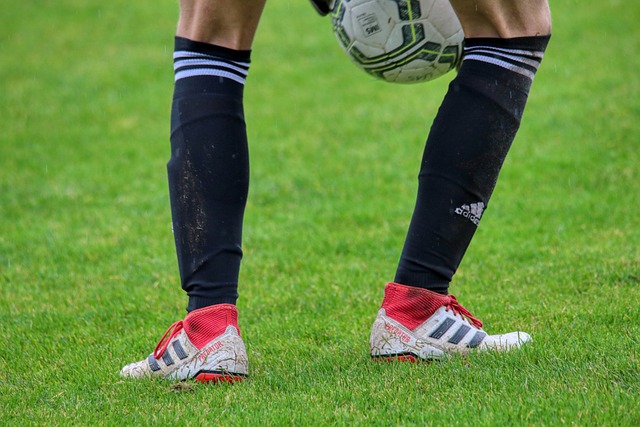 数据的管理 数据的管理