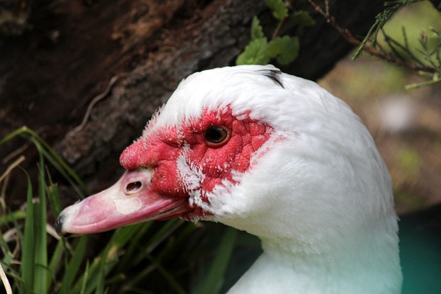 这与泰国队 这与泰国队